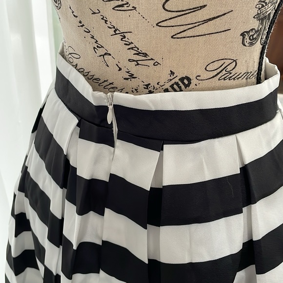 Chicwish Striped Pleated A-line Skirt - Picture 3 of 6